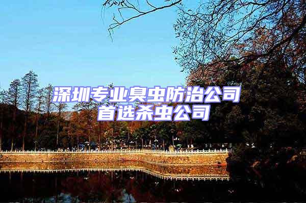 深圳專業(yè)臭蟲防治公司 首選殺蟲公司