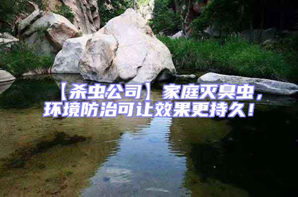 【殺蟲公司】家庭滅臭蟲，環境防治可讓效果更持久！