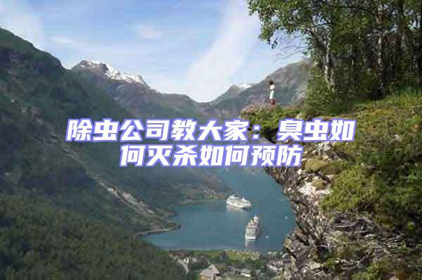 除蟲公司教大家：臭蟲如何滅殺如何預(yù)防