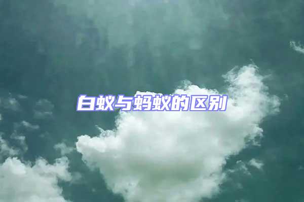 白蟻與螞蟻的區別