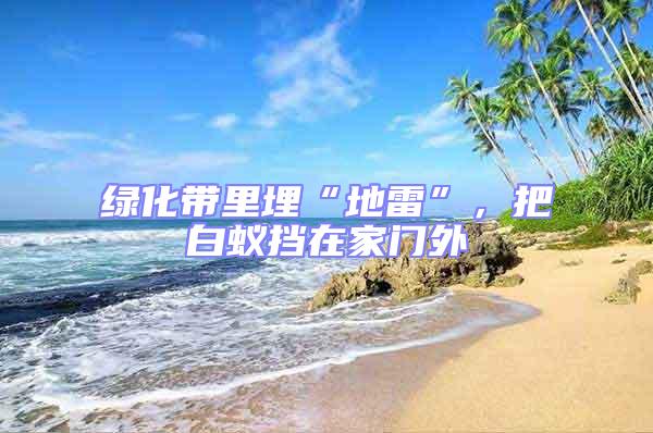 綠化帶里埋“地雷”，把白蟻擋在家門外