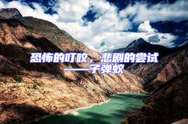 恐怖的叮咬，悲劇的嘗試——子彈蟻