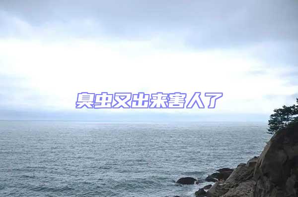 臭蟲又出來(lái)害人了
