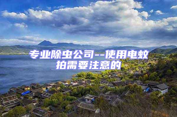 專業除蟲公司--使用電蚊拍需要注意的