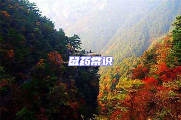 鼠藥常識(shí)