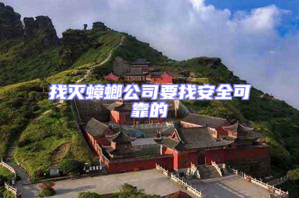 找滅蟑螂公司要找安全可靠的