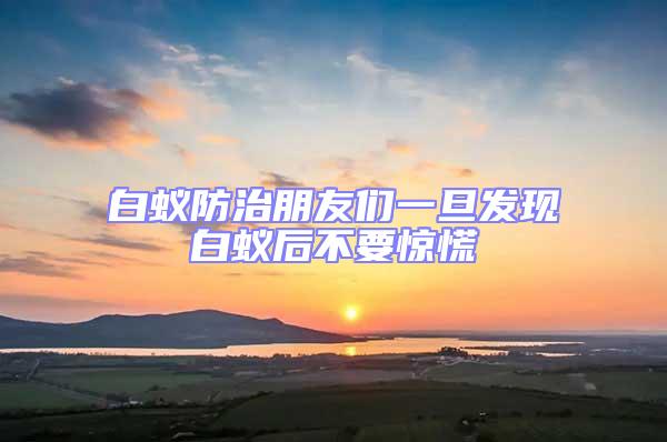 白蟻防治朋友們一旦發現白蟻后不要驚慌