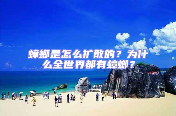 蟑螂是怎么擴散的？為什么全世界都有蟑螂？