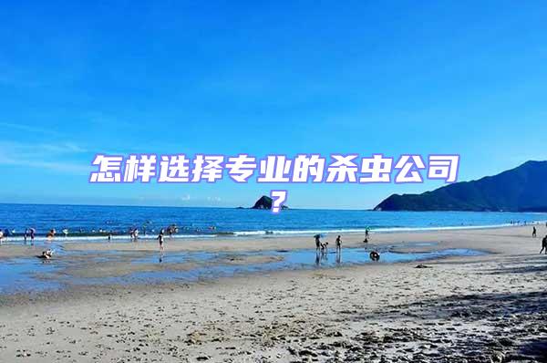 怎樣選擇專業(yè)的殺蟲(chóng)公司？