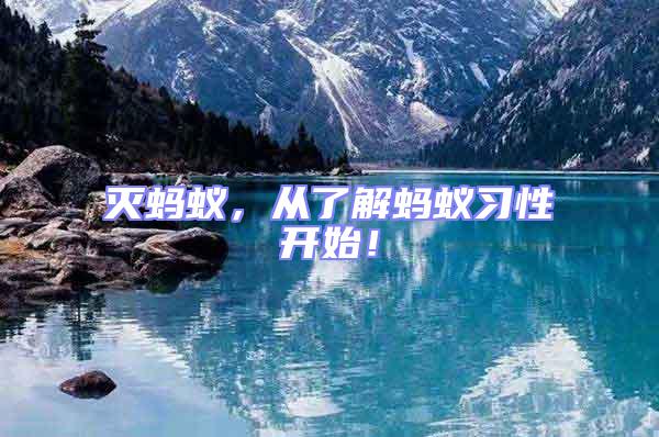滅螞蟻，從了解螞蟻習(xí)性開(kāi)始！