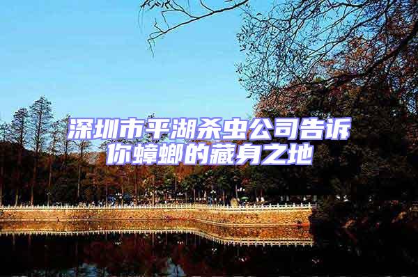深圳市平湖殺蟲公司告訴你蟑螂的藏身之地