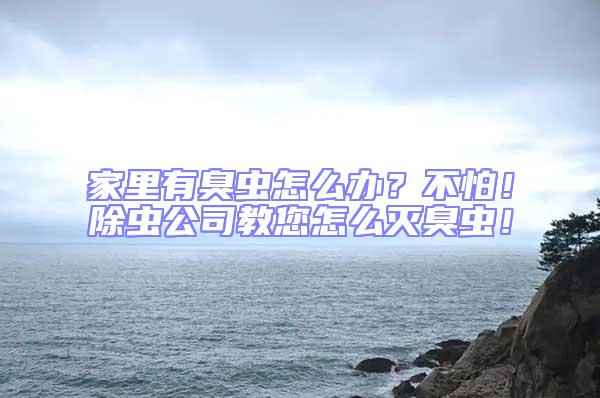 家里有臭蟲怎么辦？不怕！除蟲公司教您怎么滅臭蟲！