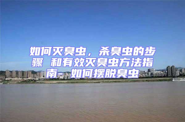 如何滅臭蟲，殺臭蟲的步驟 和有效滅臭蟲方法指南- 如何擺脫臭蟲