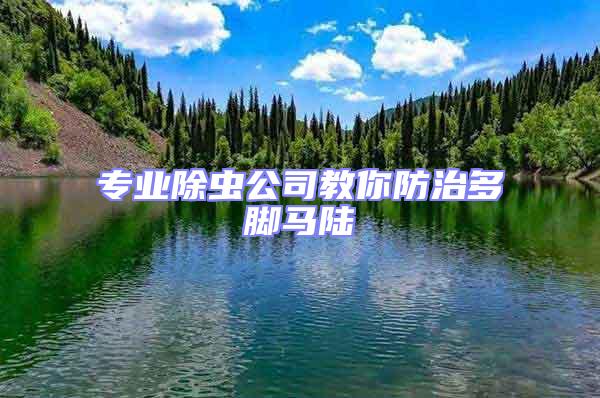 專業(yè)除蟲公司教你防治多腳馬陸