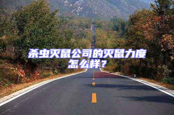 殺蟲滅鼠公司的滅鼠力度怎么樣？