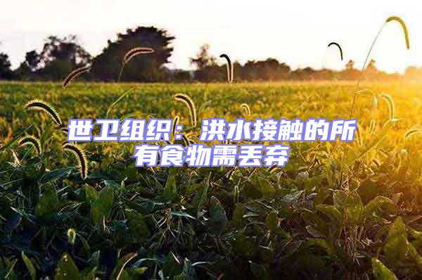 世衛組織：洪水接觸的所有食物需丟棄