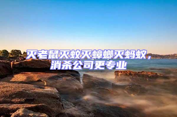 滅老鼠滅蚊滅蟑螂滅螞蟻，消殺公司更專業(yè)