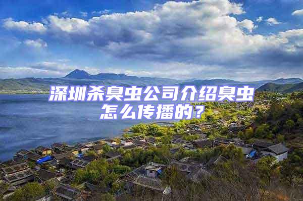 深圳殺臭蟲公司介紹臭蟲怎么傳播的？