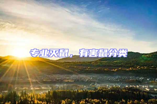 專業滅鼠，有害鼠分類