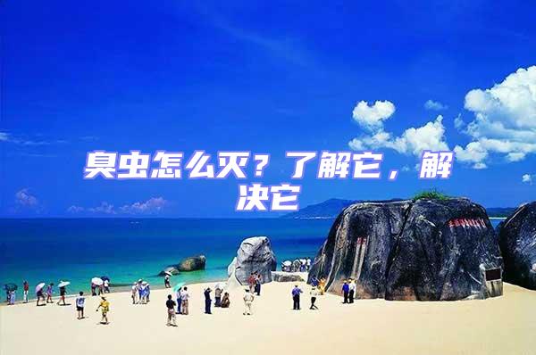 臭蟲怎么滅？了解它，解決它