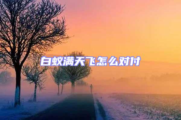 白蟻滿天飛怎么對付