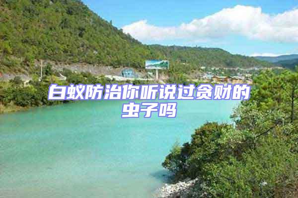 白蟻防治你聽說過貪財的蟲子嗎