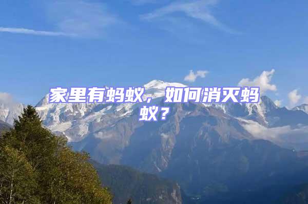 家里有螞蟻，如何消滅螞蟻？