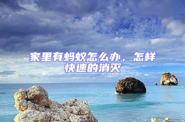 家里有螞蟻怎么辦，怎樣快速的消滅