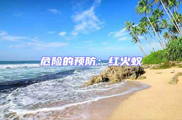 危險的預(yù)防：紅火蟻