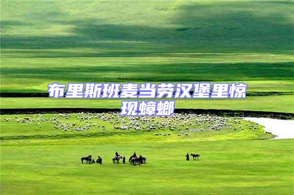 布里斯班麥當(dāng)勞漢堡里驚現(xiàn)蟑螂