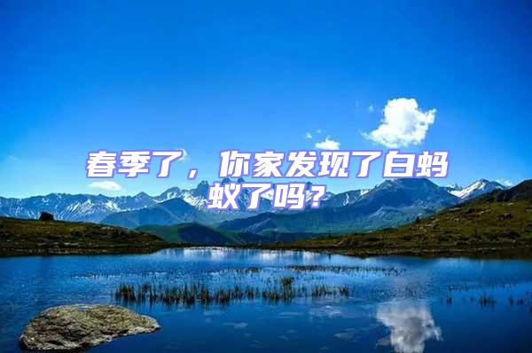 春季了，你家發現了白螞蟻了嗎？