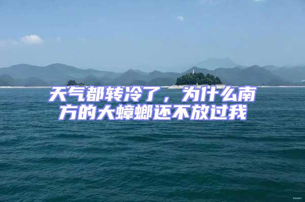 天氣都轉冷了，為什么南方的大蟑螂還不放過我