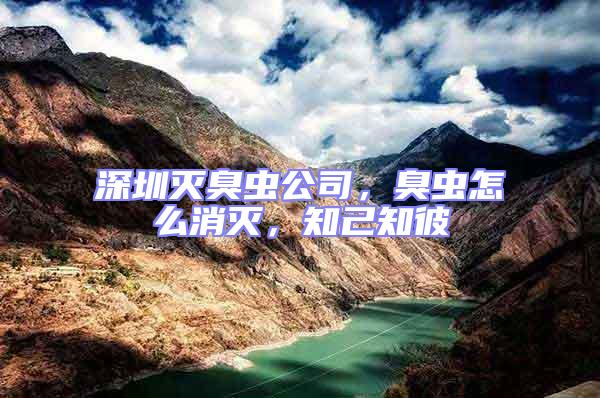 深圳滅臭蟲公司，臭蟲怎么消滅，知己知彼