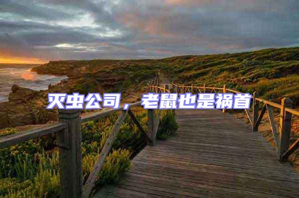 滅蟲公司，老鼠也是禍首