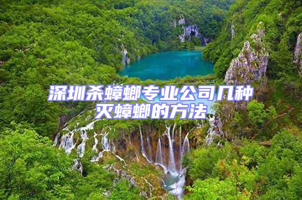 深圳殺蟑螂專業(yè)公司幾種滅蟑螂的方法