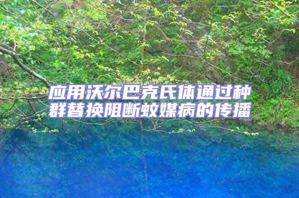 應用沃爾巴克氏體通過種群替換阻斷蚊媒病的傳播