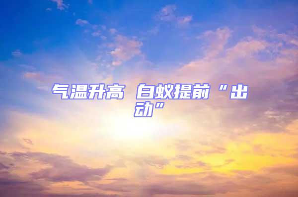 氣溫升高 白蟻提前“出動(dòng)”
