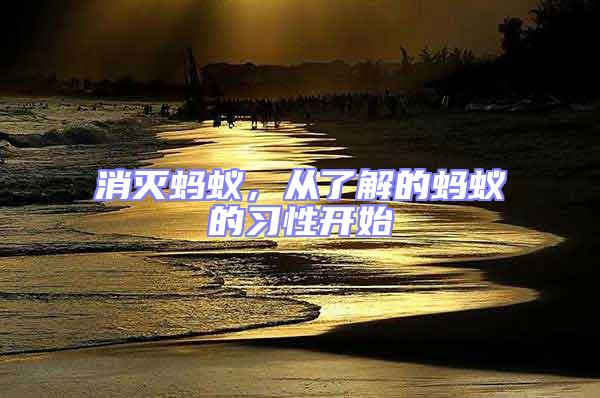 消滅螞蟻，從了解的螞蟻的習(xí)性開始