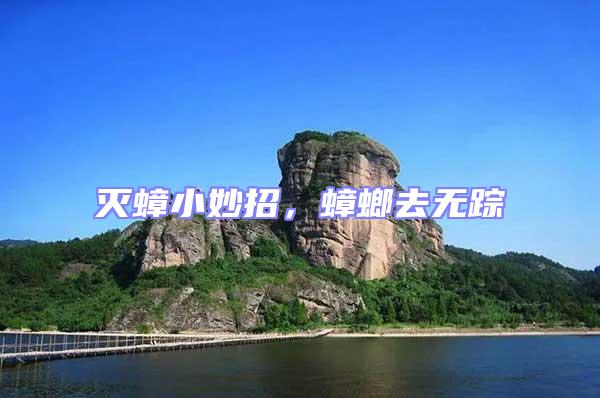 滅蟑小妙招，蟑螂去無蹤
