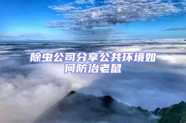 除蟲公司分享公共環境如何防治老鼠