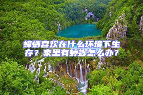 蟑螂喜歡在什么環(huán)境下生存？家里有蟑螂怎么辦？