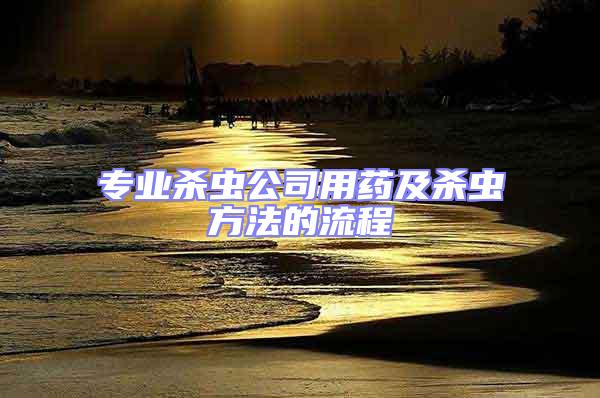 專業殺蟲公司用藥及殺蟲方法的流程