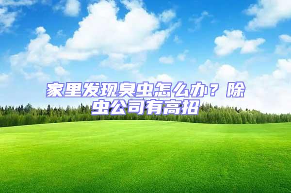 家里發現臭蟲怎么辦？除蟲公司有高招