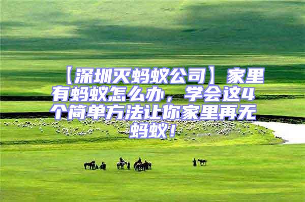 【深圳滅螞蟻公司】家里有螞蟻怎么辦，學會這4個簡單方法讓你家里再無螞蟻！