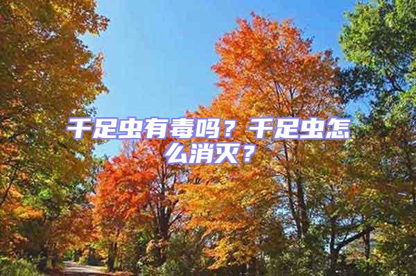 千足蟲有毒嗎？千足蟲怎么消滅？