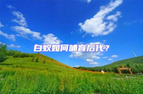 白蟻如何哺育后代？