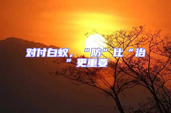 對付白蟻，“防”比“治”更重要