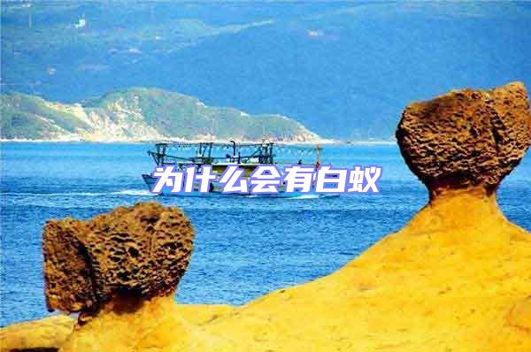為什么會(huì)有白蟻
