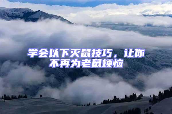 學會以下滅鼠技巧，讓你不再為老鼠煩惱
