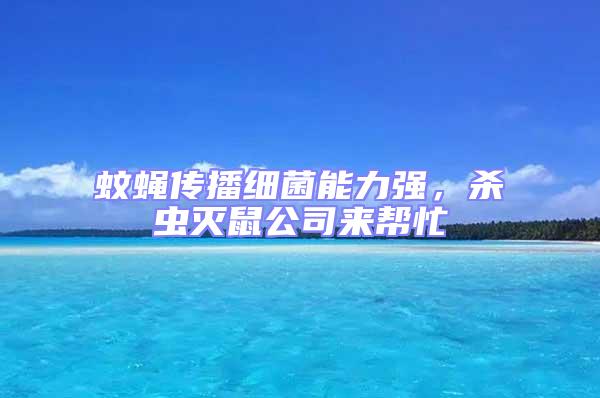 蚊蠅傳播細菌能力強，殺蟲滅鼠公司來幫忙